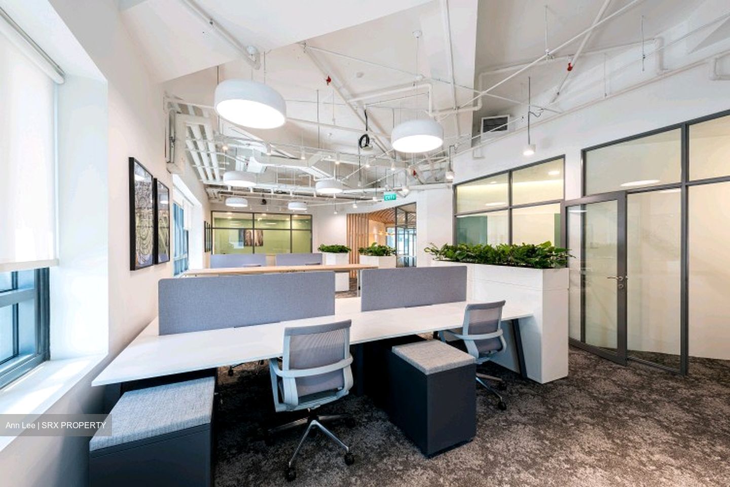 PLUS (D1), Office #559336391